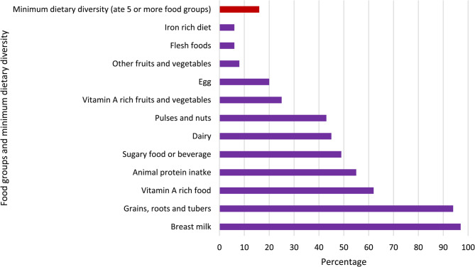Social equity in Ethiopian infants' breastfeeding and complementary feeding practices: a birth cohort study.