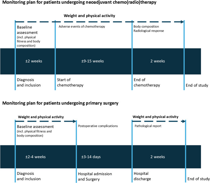 Patient-recorded indexing measurements (PRIMS) - study protocol of a prospective observational cohort study to improve the accuracy of the diagnosis of cancer cachexia.
