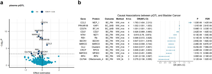 Identifying the causal role and therapeutic potential of immune-related genes in bladder cancer: a Mendelian randomization study.