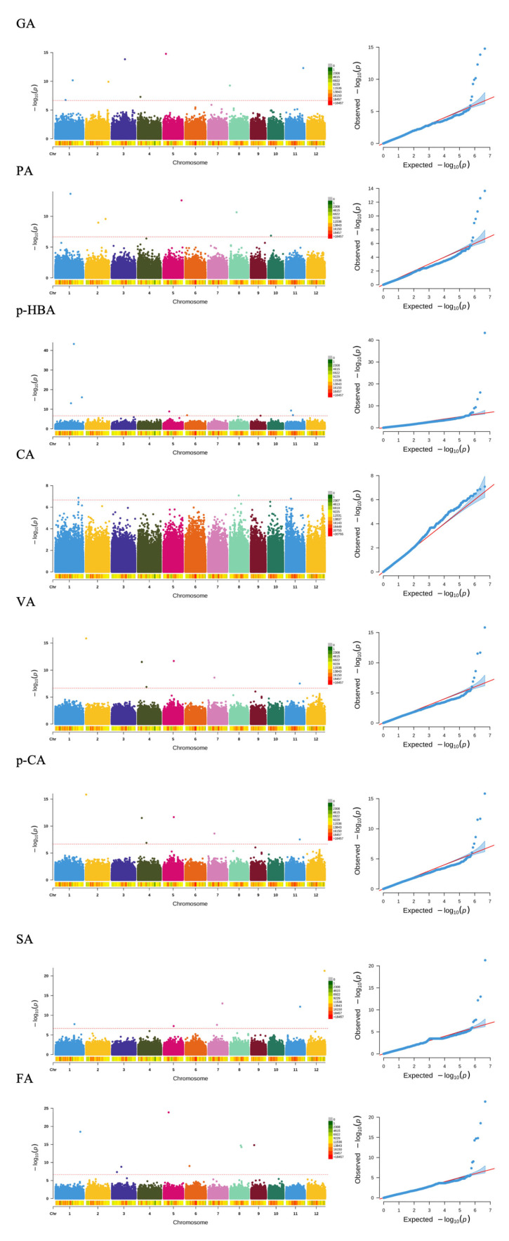 Genotypic Variation and Genetic Control of Phenolic Compounds and Antioxidant Activity in Shanlan Upland Rice Landrace.