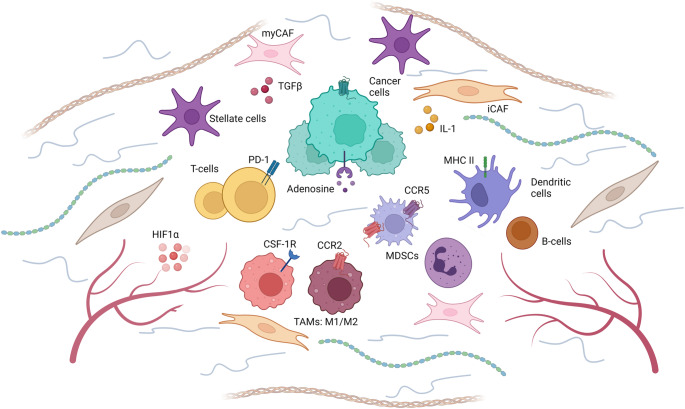 Emerging Therapeutic Approaches to Pancreatic Adenocarcinoma: Advances and Future Directions.