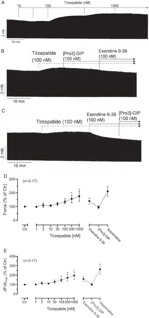 Tirzepatide increased force of contraction in the isolated human atrium.