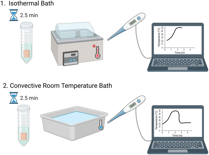 Thermal damage induced changes in optical properties of the porcine dermis.
