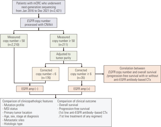 Clinical Characteristics of and Treatment Pattern for EGFR-Amplified Colorectal Cancer.