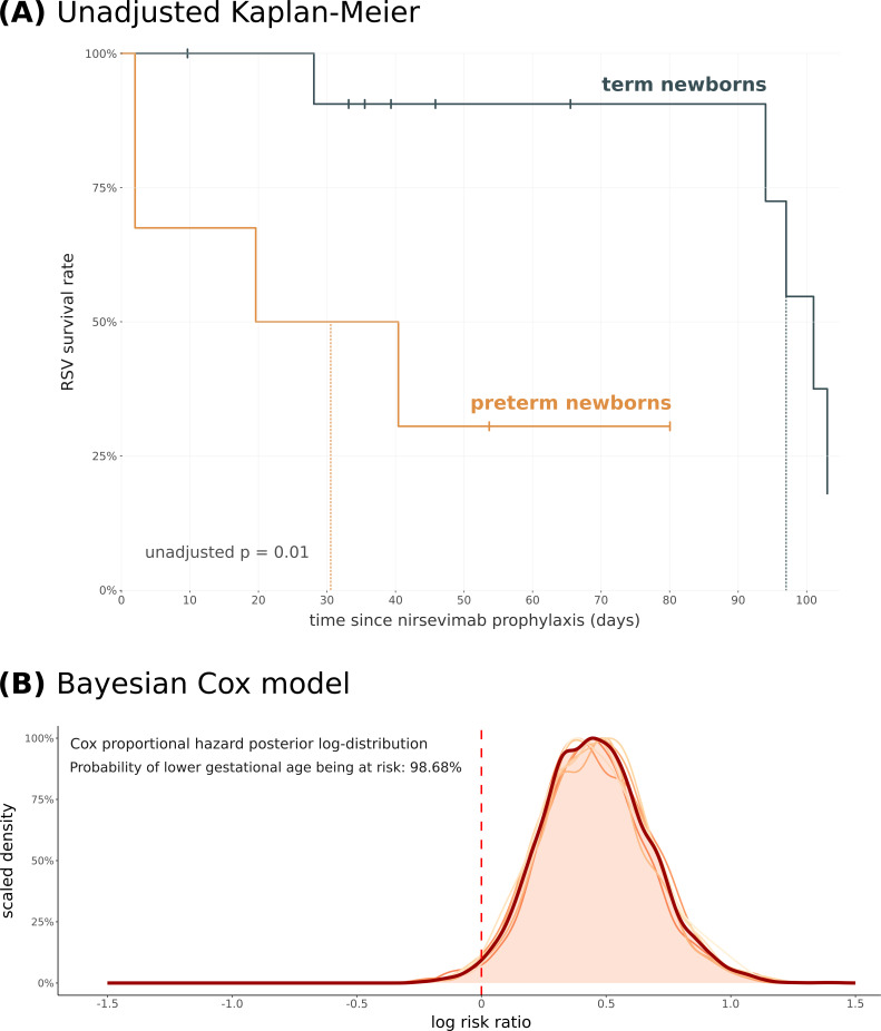 Multicentre study on nirsevimab: Bayesian analysis reveals persisting risk for preterm infants.
