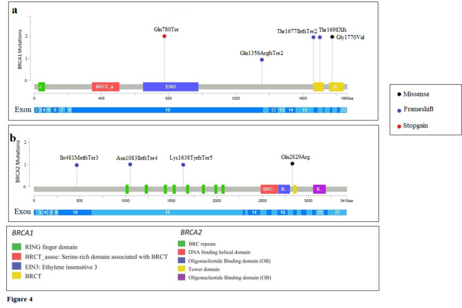 Germline and somatic mutational variants of Tunisian high grade serous ovarian cancer identified by next-generation sequencing.