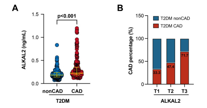 Plasma ALKAL2 levels are associated with coronary atherosclerosis in patients with type 2 diabetes mellitus.