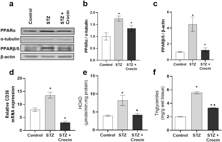 Treatment with crocin attenuates cardiac metabolic disturbances and subsequent inflammation in streptozotocin-induced diabetes.