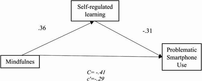 Mindfulness and problematic smartphone use: indirect and conditional associations via self-regulated learning and digital detox.