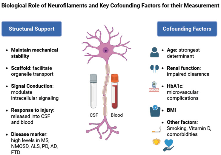 Neurofilament Biomarkers in Neurology: From Neuroinflammation to Neurodegeneration, Bridging Established and Novel Analytical Advances with Clinical Practice.