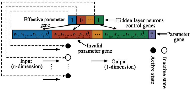 Enhanced backpropagation neural network accuracy through an improved genetic algorithm for tourist flow prediction in an ecological village.