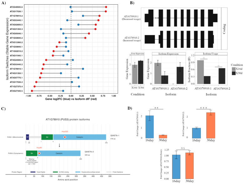 Genome-Wide Isoform Switching Reveals SR45-Mediated Splicing Control of <i>Arabidopsis</i> Leaf Senescence.