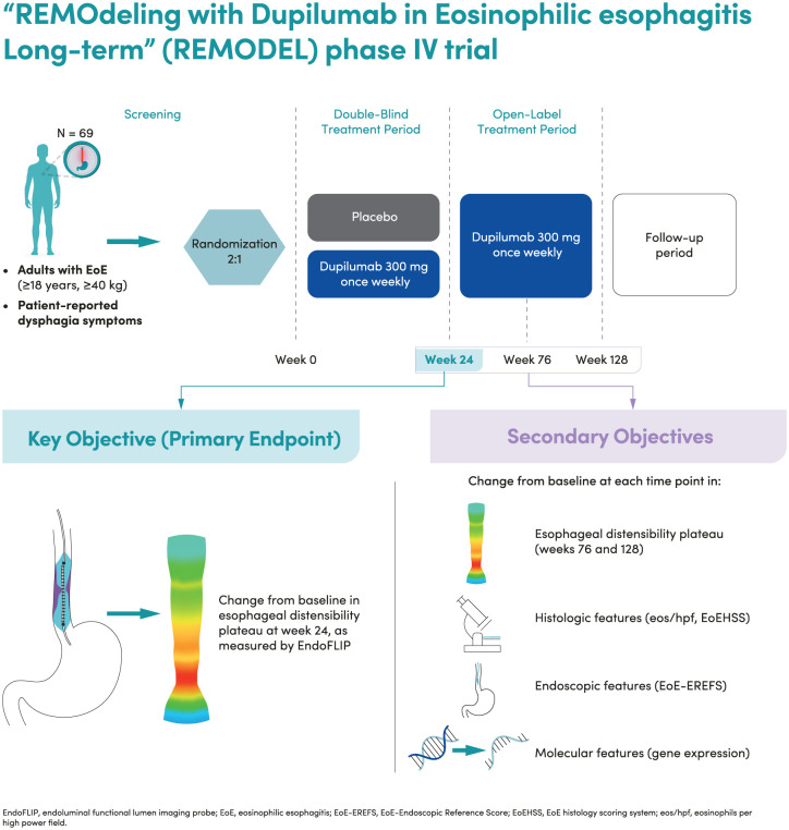 Study design of the phase IV, randomized, placebo-controlled REMOdeling with Dupilumab in Eosinophilic esophagitis Long-term (REMODEL) trial.