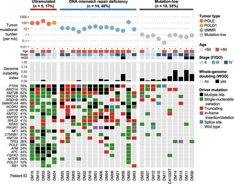 Distinct genomic subgroups and mutational patterns in undifferentiated/dedifferentiated endometrial carcinoma.