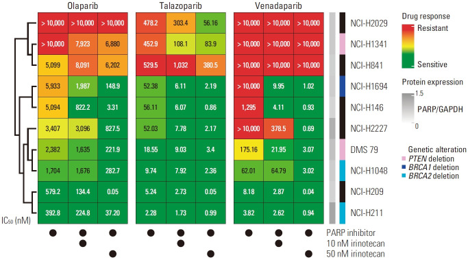 The Synergistic Effect of PARP Inhibitors and Irinotecan in Small Cell Lung Cancer Cells.