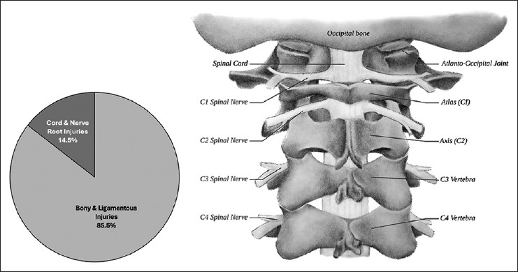 Musculoskeletal, airway, and vascular injuries in the patient with nonjudicial hanging: A narrative review for the emergency clinician.