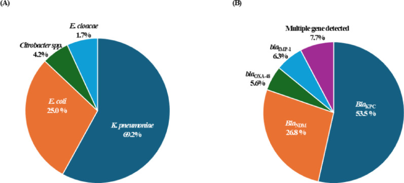 Diagnostic performance of the direct stool Xpert Carba-R assay in active surveillance of carbapenemase-producing enterobacterales.