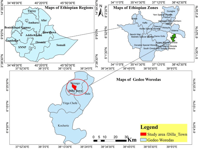 Integrated assessment of malaria parasite load, anemia, and associated factors in patients with and without soil-transmitted helminthes coinfection in Southern Ethiopia.