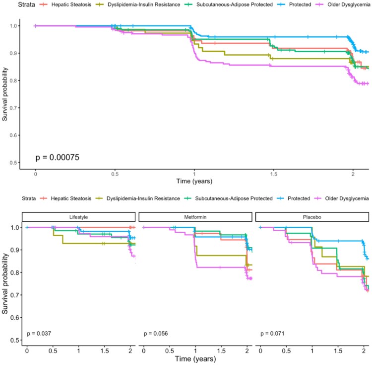 Body Composition Differentiates Prediabetes Phenotype Clusters in the Diabetes Prevention Program Study.