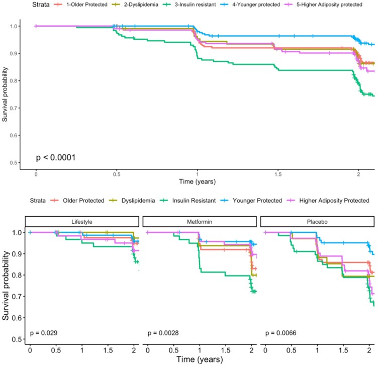 Body Composition Differentiates Prediabetes Phenotype Clusters in the Diabetes Prevention Program Study.