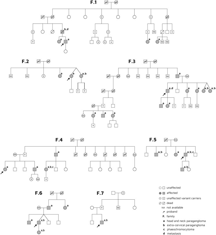 New Insights into the Clinical Characterization of SDHAF2-related Familial Paraganglioma Syndrome.