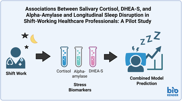 Associations Between Salivary Cortisol, DHEA-S, and Alpha-Amylase and Longitudinal Sleep Disruption in Shift-Working Healthcare Professionals: A Pilot Study.