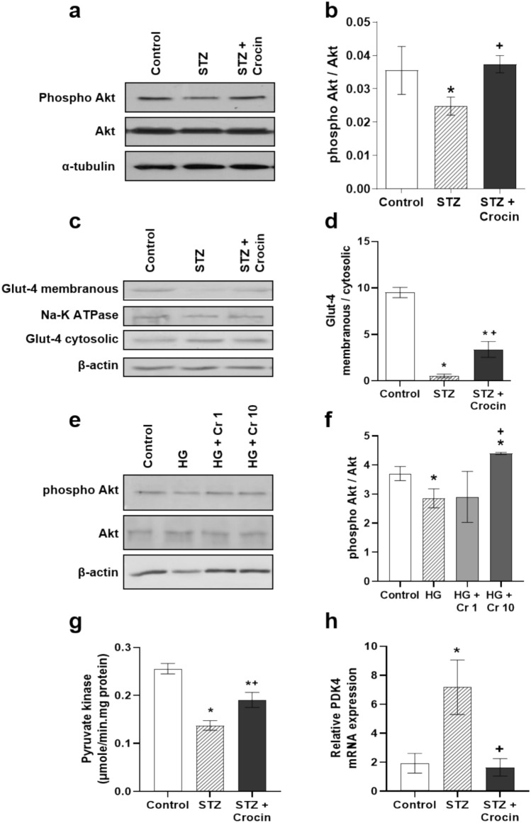 Treatment with crocin attenuates cardiac metabolic disturbances and subsequent inflammation in streptozotocin-induced diabetes.