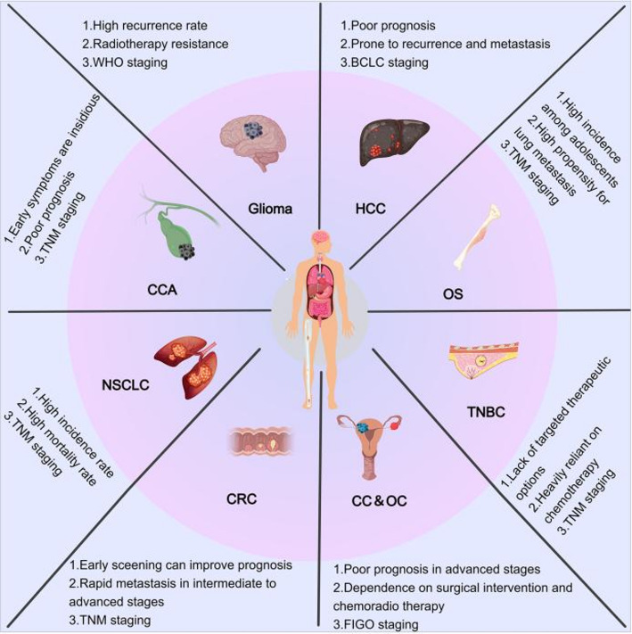 LINC01123: a pan-cancer "molecular commander" deciphering the CeRNA network atlas for precision diagnosis and therapy.