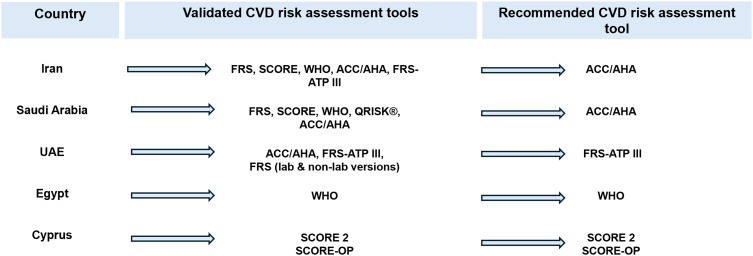 Exploring the Current Tools in Cardiovascular Risk Assessment in the Middle East and the Need for Region-Specific Models - A Scoping Review.