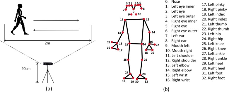 Differentiating post-stroke patients from healthy individuals via vision-based skeleton-optical fusion.