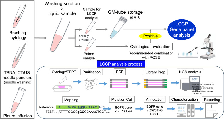 Prospective multicenter validation of a next-generation sequencing panel using cytology specimens for lung cancer: cPANEL.