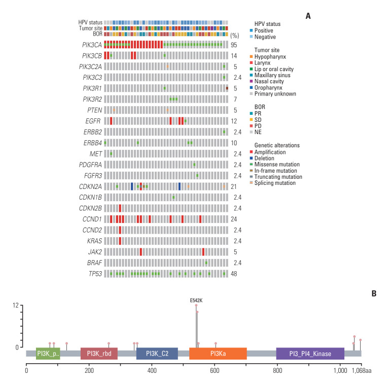 Differential Efficacy of Alpelisib by PIK3CA Mutation Site in Head and Neck Squamous Cell Carcinoma: An Analysis from the KCSG HN 15-16 TRIUMPH Trial.
