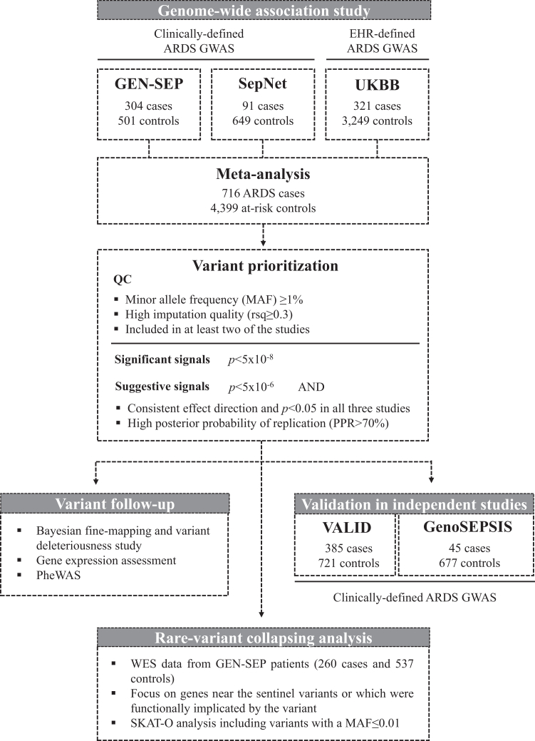 Genome-wide association study of susceptibility to acute respiratory distress syndrome.