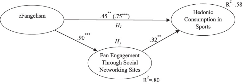 How does eFangelism trigger hedonic consumption in sports? The mediating role of fan engagement through social networking sites.