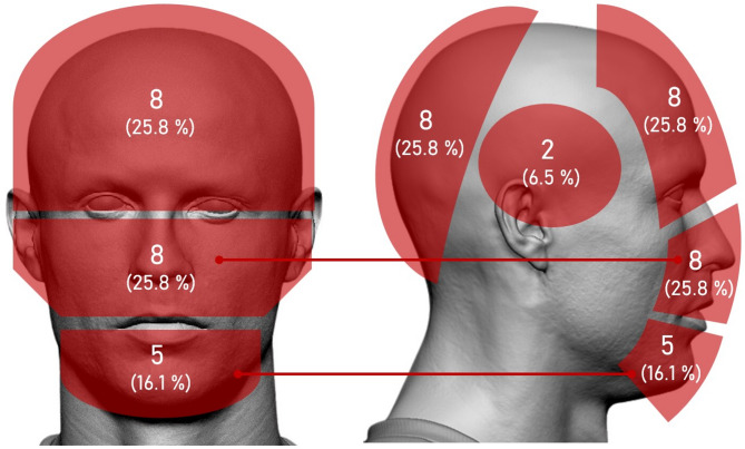 Potential Concussion Events of a Leading Team in the Spanish Male Professional Soccer League: Incidence, Refereeing Actions, Medical Consequences and Return-to-Play.