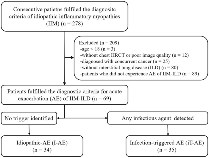 The Clinical Features and Prognosis of Idiopathic and Infection-Triggered Acute Exacerbation of Idiopathic Inflammatory Myopathy-Associated Interstitial Lung Disease: A Preliminary Study.