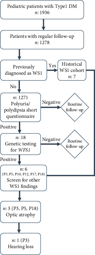 Diabetes Insipidus as an Early Clinical Indicator of Wolfram Syndrome Type 1: Evidence From a Symptom-Based Screening Approach.