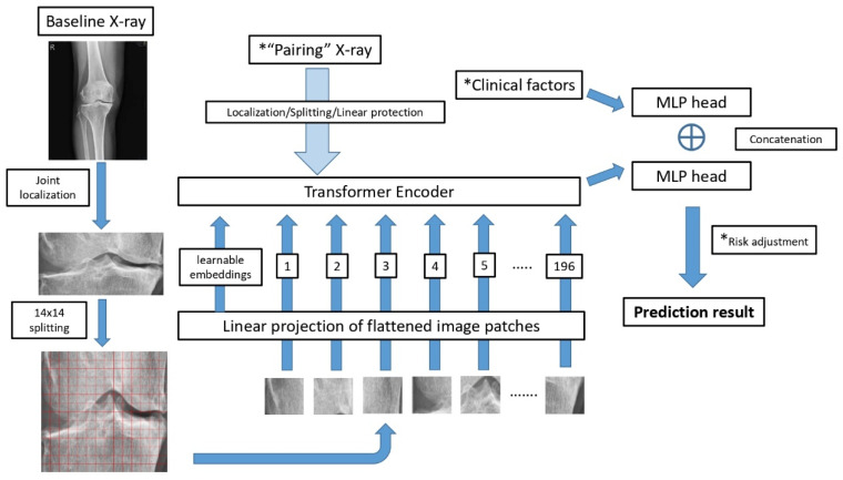 Simplifying Knee OA Prognosis: A Deep Learning Approach Using Radiographs and Minimal Clinical Inputs.