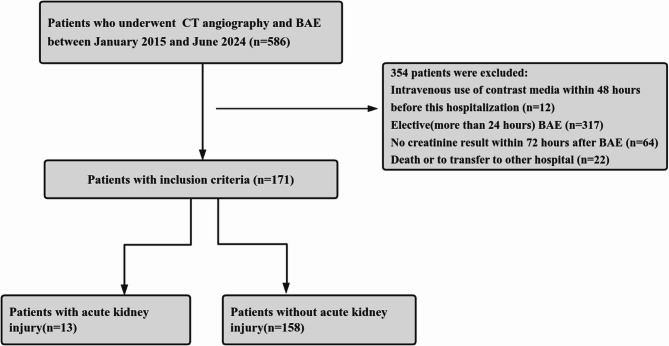 Incidence and predictors of postcontrast acute kidney injury following computed tomography angiography and bronchial artery embolization in hemoptysis patients.