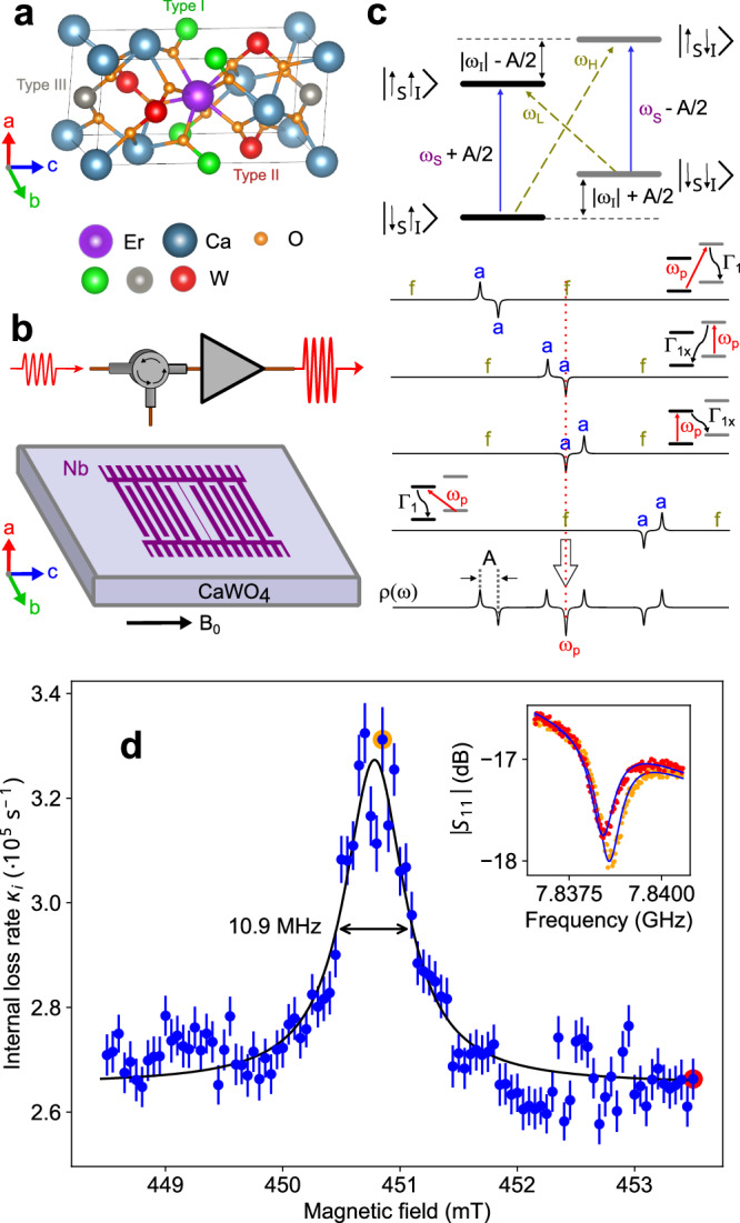 Week-long-lifetime microwave spectral holes in an erbium-doped scheelite crystal at millikelvin temperature.