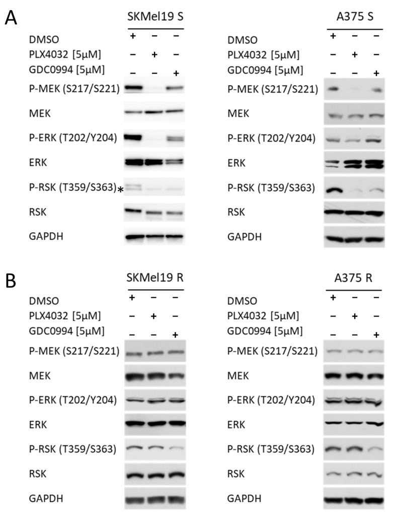 Combinatorial ERK Inhibition Enhances MAPK Pathway Suppression in BRAF-Mutant Melanoma.