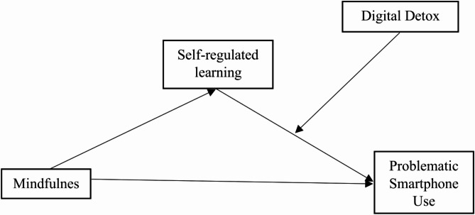 Mindfulness and problematic smartphone use: indirect and conditional associations via self-regulated learning and digital detox.