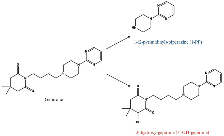 Gepirone for Major Depressive Disorder: From Pharmacokinetics to Clinical Evidence: A Narrative Review.