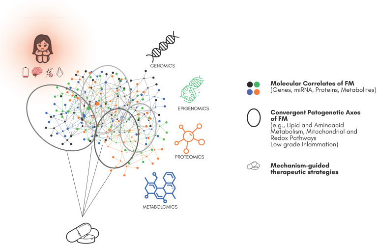 In Search of Molecular Correlates of Fibromyalgia: The Quest for Objective Diagnosis and Effective Treatments.