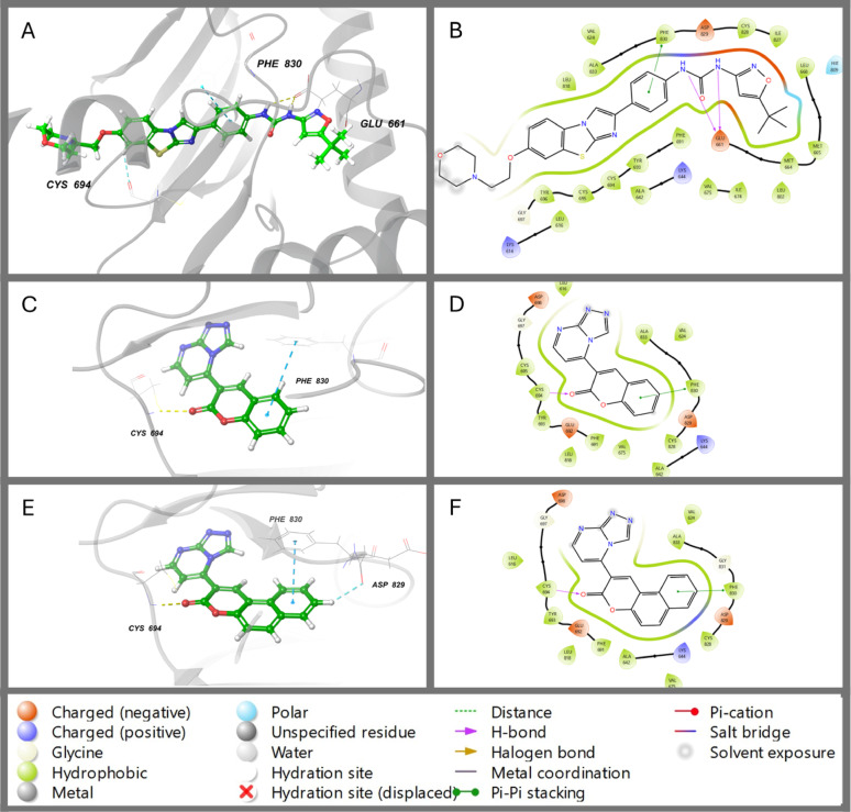 Triazolo pyrimidine derivatives of coumarin and benzocoumarin: green synthesis, biological activity screening study with in silico evaluation