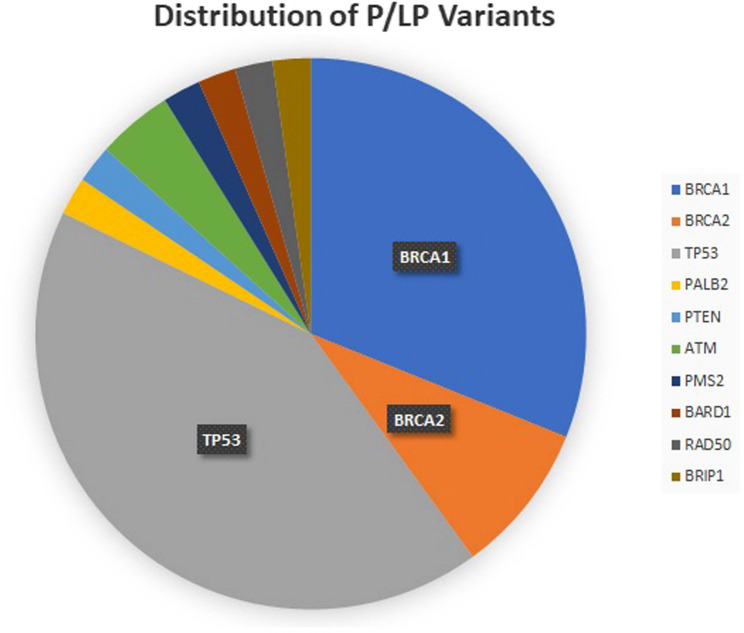 Germline and somatic mutational variants of Tunisian high grade serous ovarian cancer identified by next-generation sequencing.