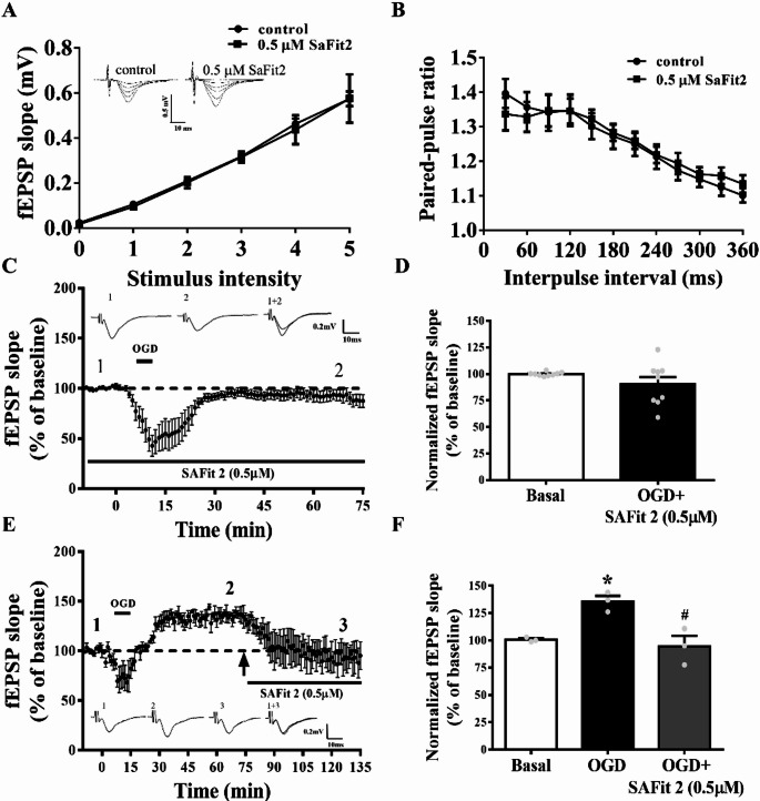 Regulation of Ischemic Long-Term Potentiation in GluN2B and FKBP51 Underlying Cathodal Direct Current Stimulation