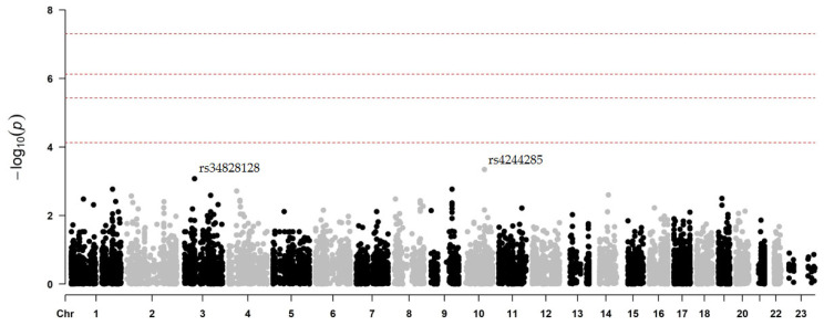 Custom Gene Panel Analysis Identifies Novel Polymorphisms Associated with Clopidogrel Response in Patients Undergoing Percutaneous Coronary Intervention with Stent.