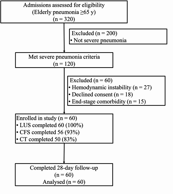 Predictive value of bedside lung ultrasound, quantitative chest CT, and frailty assessment for short-term outcomes in elderly patients with severe pneumonia: a pilot study.