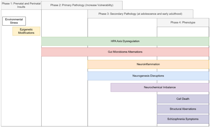 The Etiological Role of Impaired Neurogenesis in Schizophrenia: Interactions with Inflammatory, Microbiome and Hormonal Signaling.